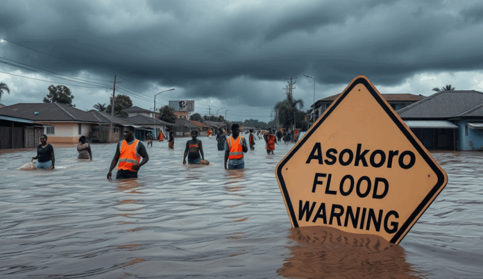 Featured Image for Asokoro: Flood Warning